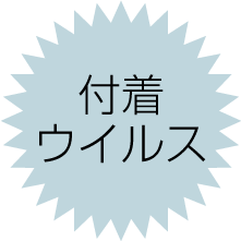 付着ウイルス